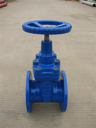 軟密封閘閥 隆堯雙永閥門(mén)