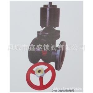 【廠家專業(yè)生產(chǎn)DN80磁性鎖閉閥 優(yōu)質(zhì)鎖閉閥】價(jià)格_廠家_圖片 -